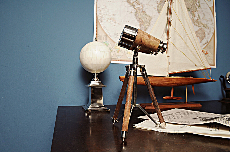 Bone Globe With Aluminum Base