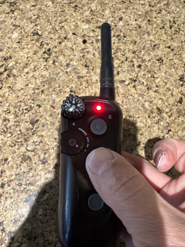 DT Systems Rapid Access Pro Trainer RAPT 1400 Remote
