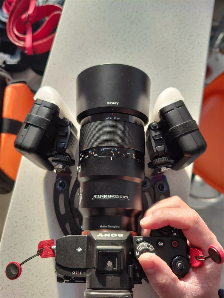 Dual Mount Arm Flexible Flash bracket Dentist-Specific Camera Stabilizer w/Case