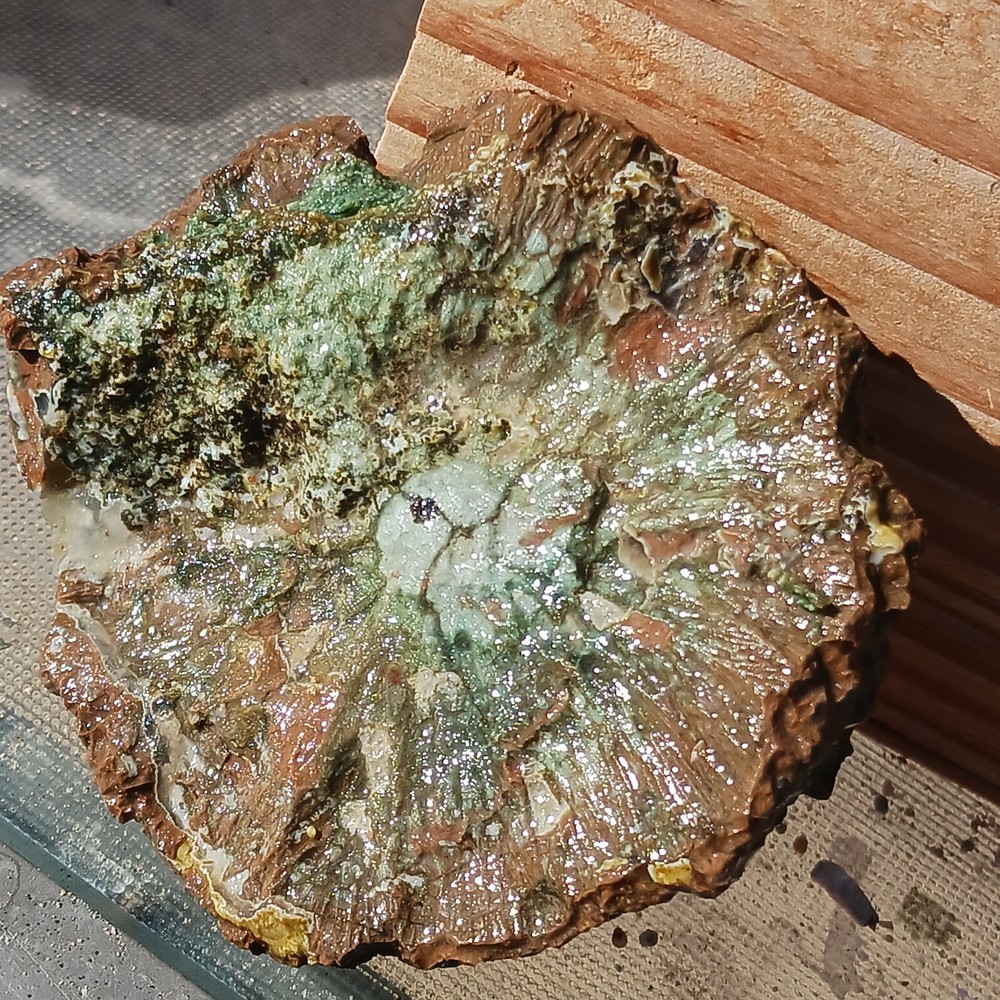 Quartz Lapidary Chalcedony Mud Fossil Jasper Rough Specimen