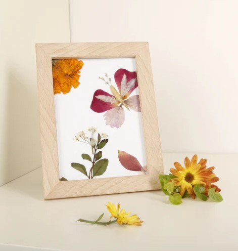 Kikkerland Flower Press Frame Kit