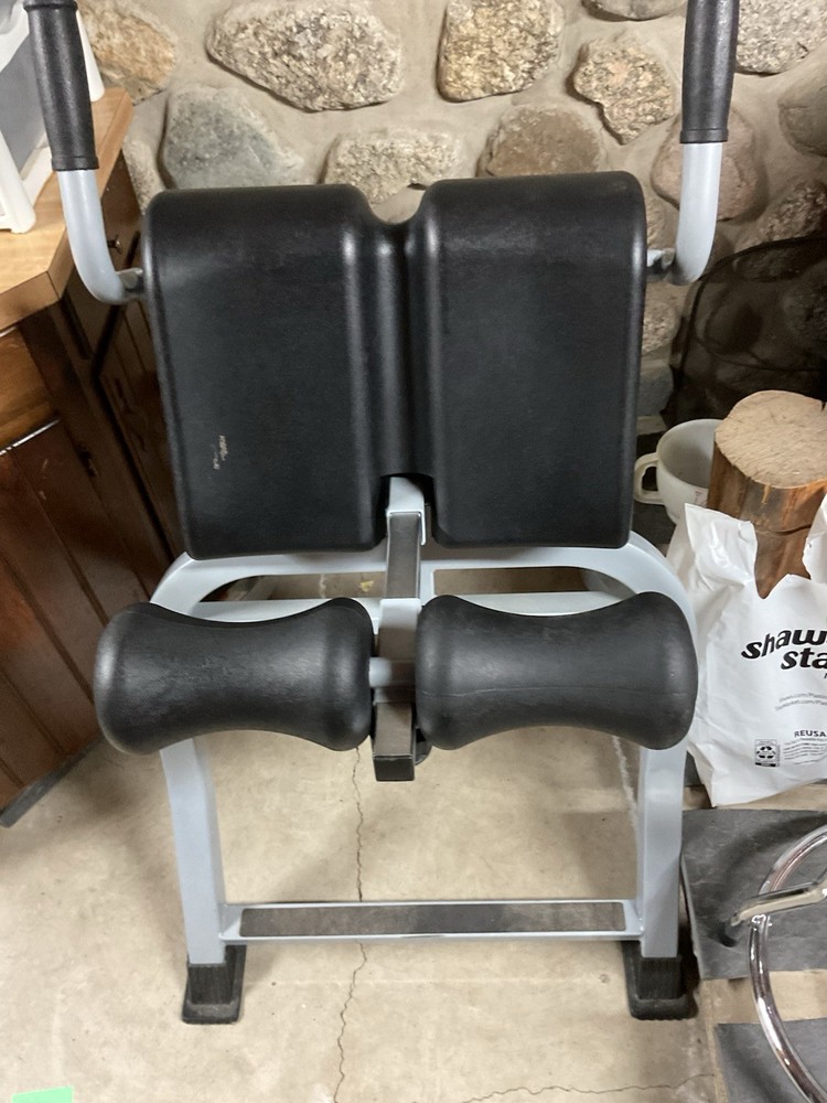 Teeter D1-2000 Hang Dex II Extension Machine