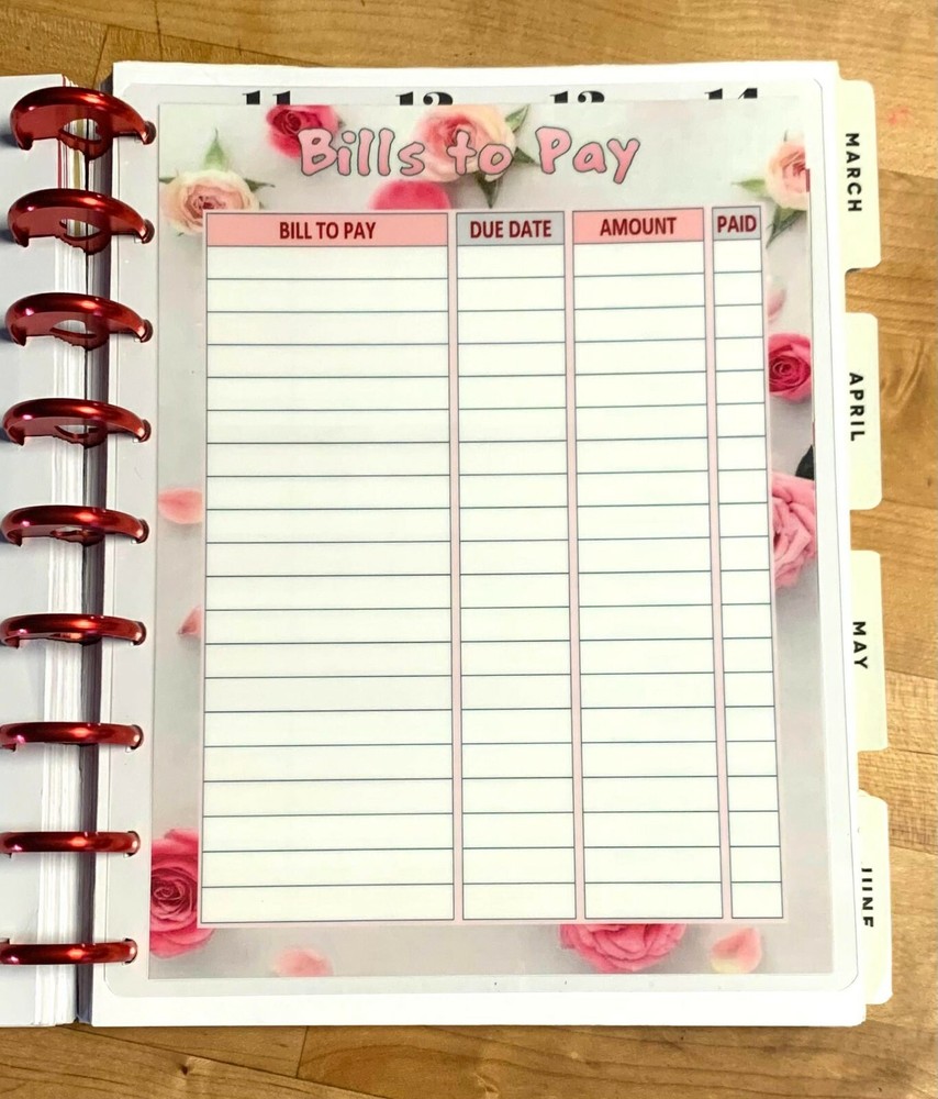 Bills to Pay & Debt Tracker Two Sided Dashboard for use with Happy Planner~