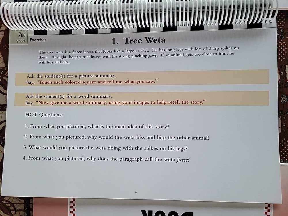 Visualizing and Verbalizing 3 Sentence by Sentence Stories Easel Book Nanci Bell