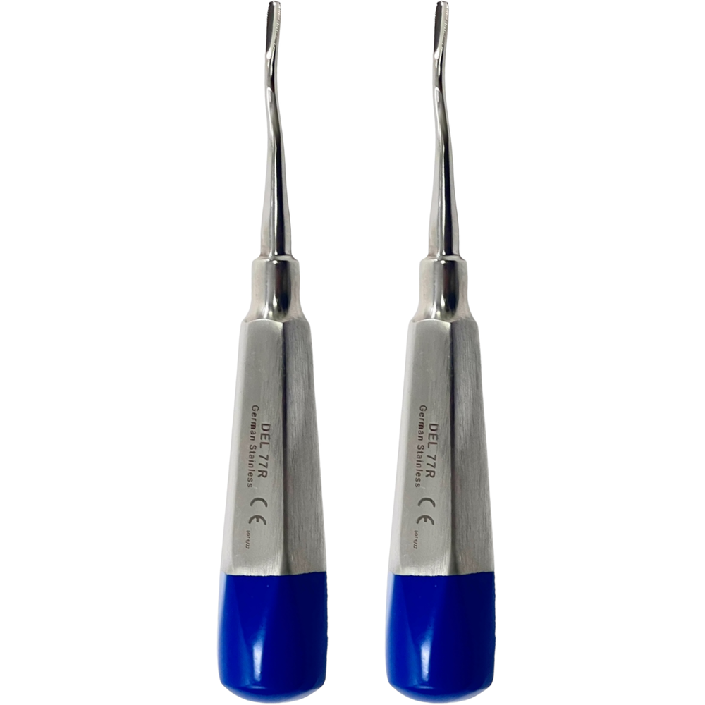 Premium Dental Root Elevator Serrated #77R Extraction Dental Instruments German