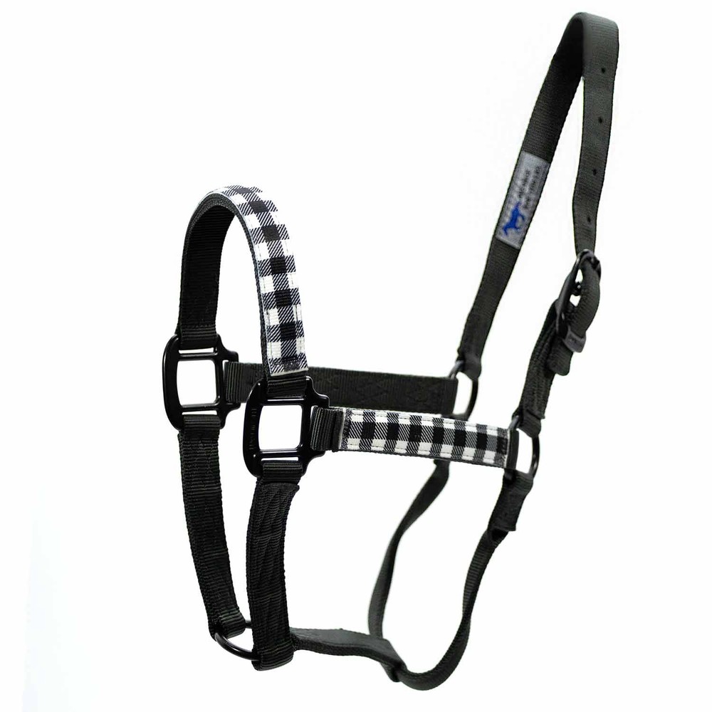 Average Horse Halter White/Black