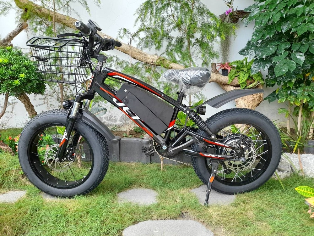 Jett ebike - Black panther