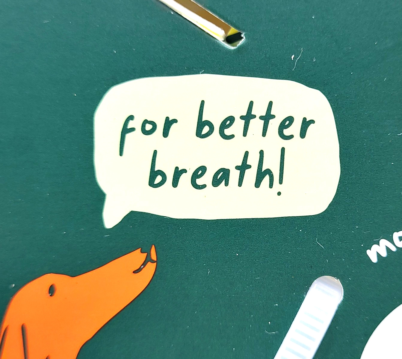 Woof Bite n' Brush Small Treat Holder Toothbrush Tough Non Toxic For Dogs 7"