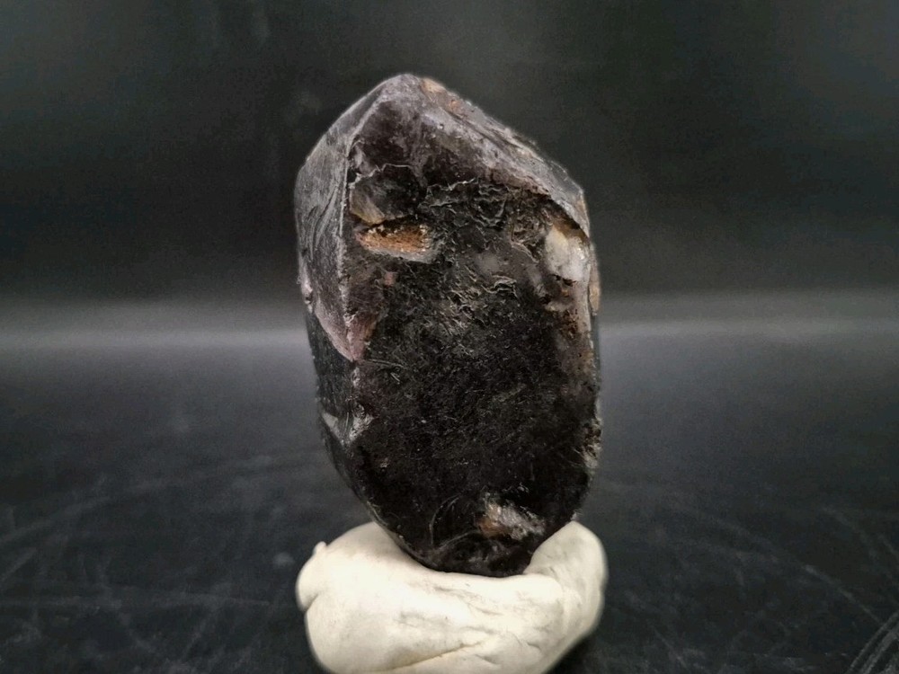 Real Fossil Dinosaur Egg Opalized
