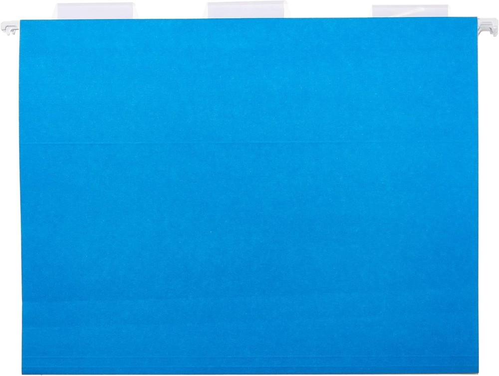 Basics Hanging Organizer File Folder for Efficient Filing Assorted Colors 25pack