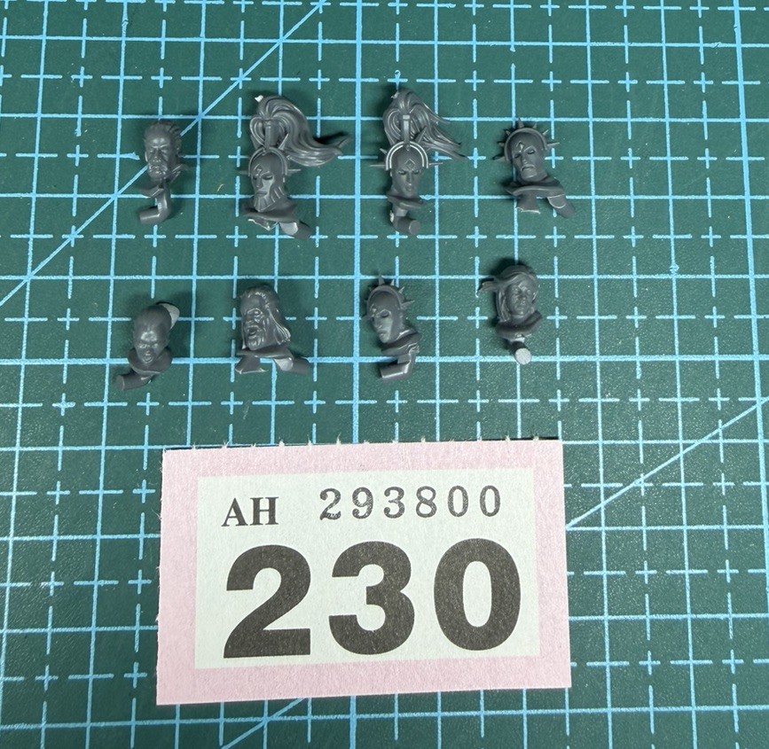 Stormcast Eternal Vindictor Head Helmet Bundle AoS Bits Protector Retributor