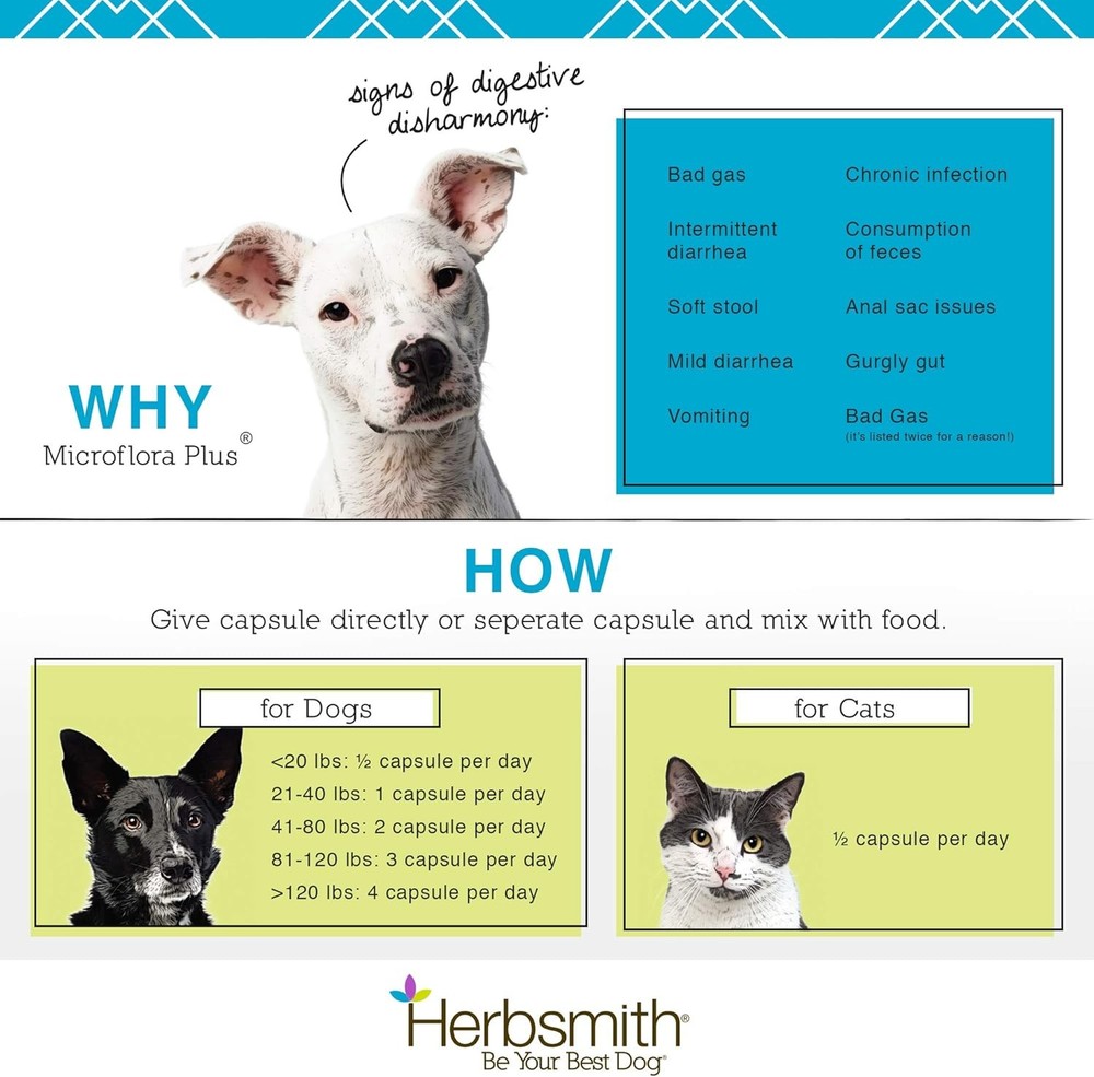 Herbsmith Microflora Plus – Probiotic & Digestive Aid for Cats – 60 Capsules