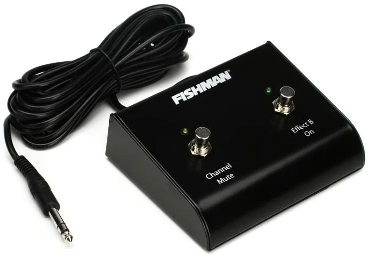 Fishman Dual Footswitch for Loudbox Amplifiers