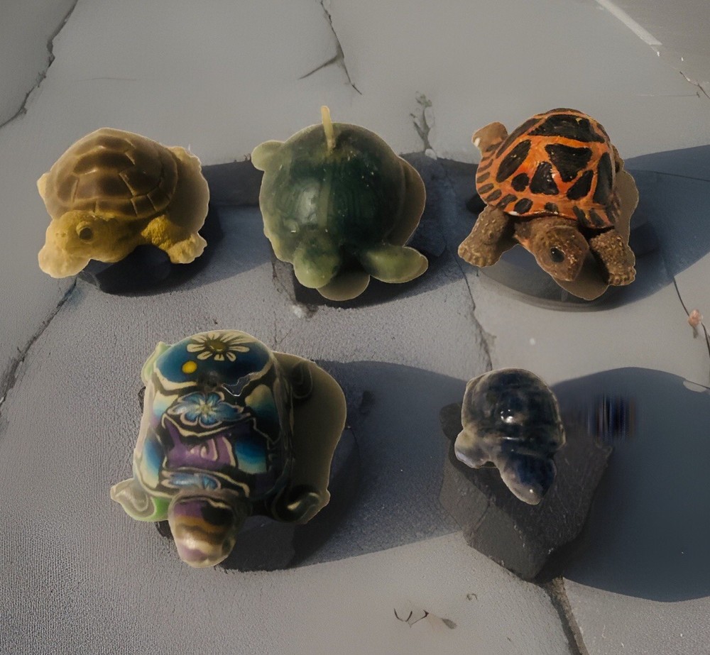 Five miniature Good Luck turtle figurines