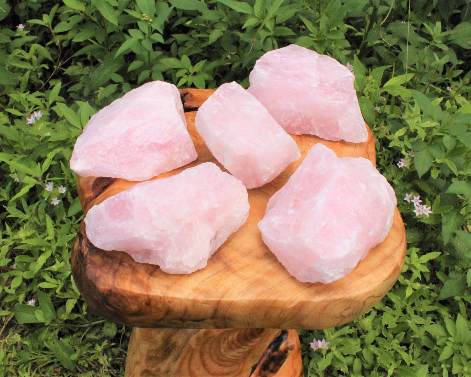 JUMBO Rose Quartz Natural Raw Crystals - Choose Size Huge Chunks (Love Stone)