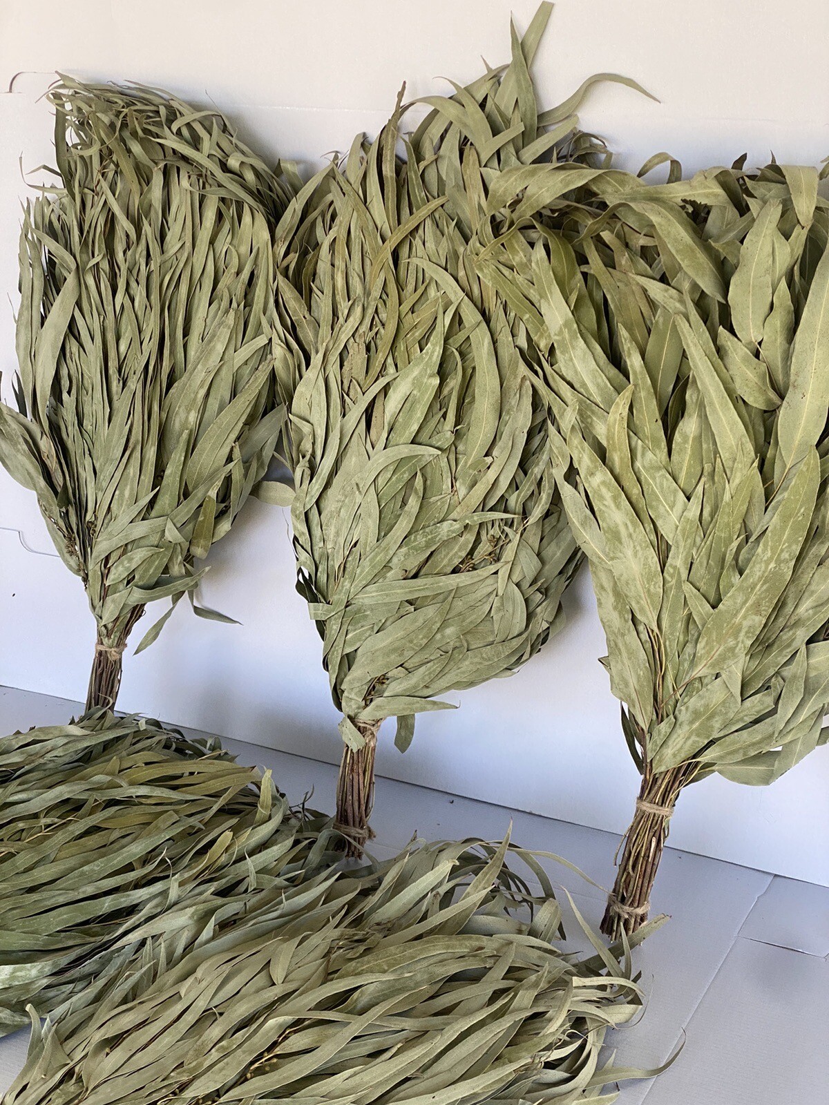 12 Oak brooms sauna banya venik Eiche whisks eco 2025 Ukrainian