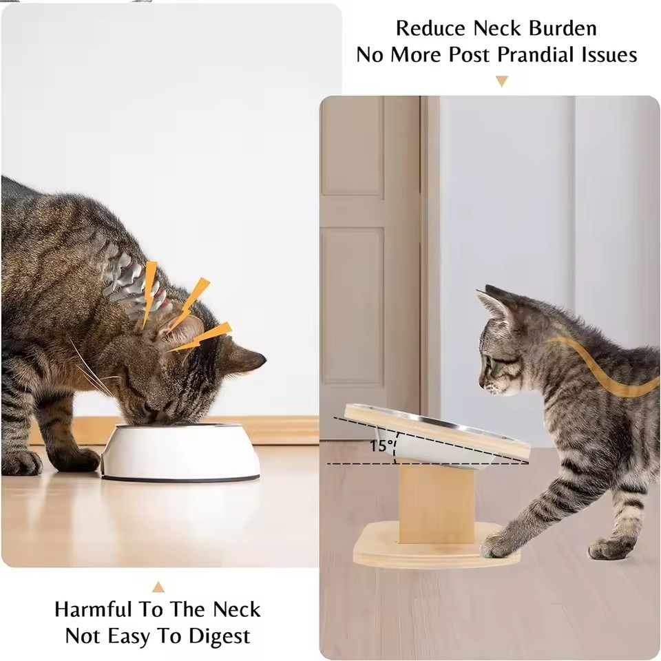 Elevated Cat Bowls Raised Food Bowls 15° Tilted Pet Bowls for Cats and Small Dog