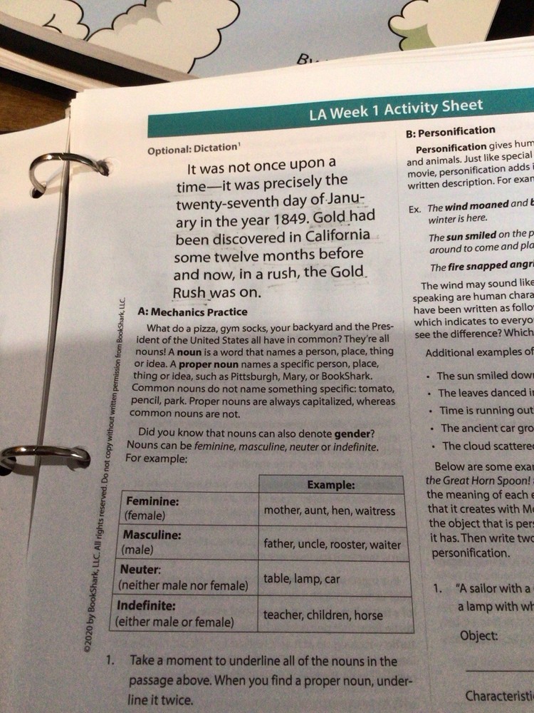 Bookshark Language Arts Instructor’s Guide Level E And Grammar Ace IG