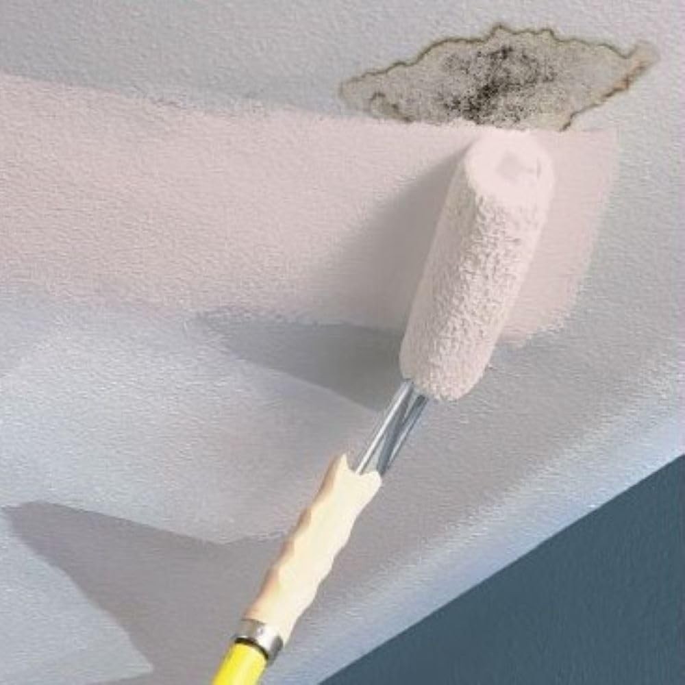 KILZ Stainblocking Ceiling Paint Interior White 1 Gallon