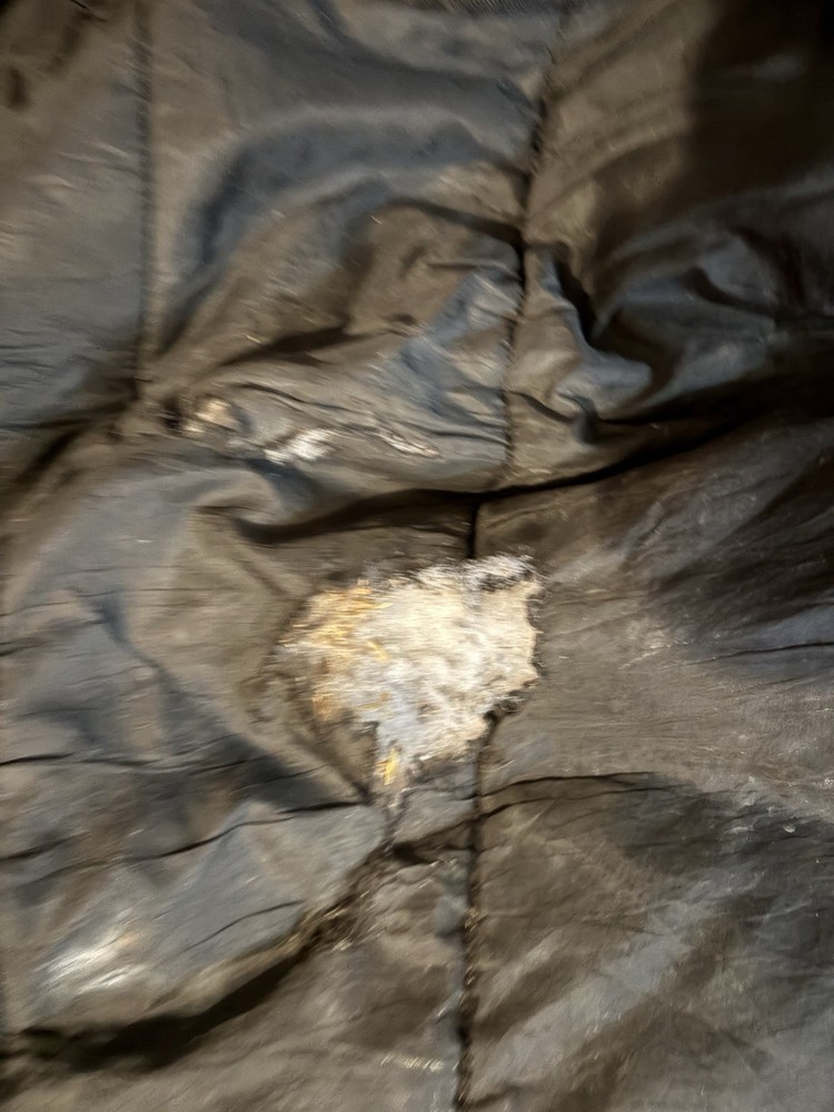 Hilason Winter Turnout Blanket! Size 72