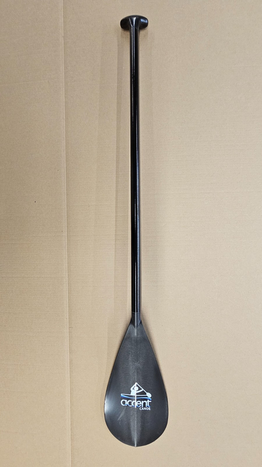 Accent Beat Fiberglass 56"