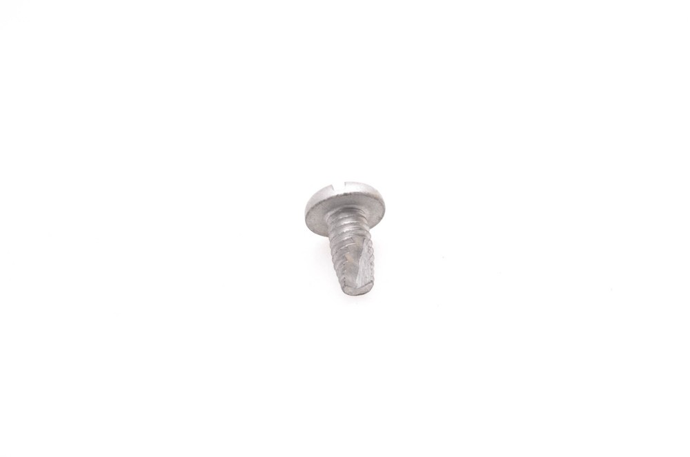 OMC 311020 Silencer Screw NOS
