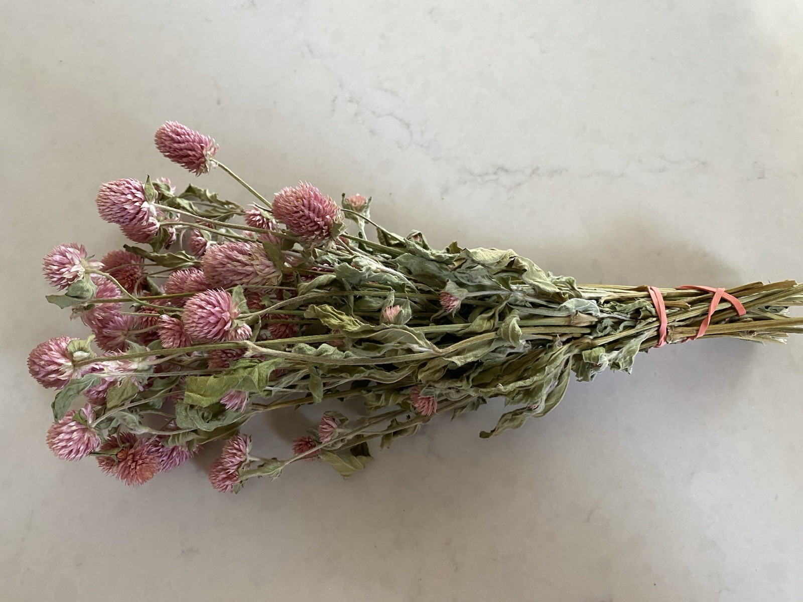 PINK Dried GLOBE AMARANTH Bunch BOUQUET Bundle DRIED FLOWERS Auc#2