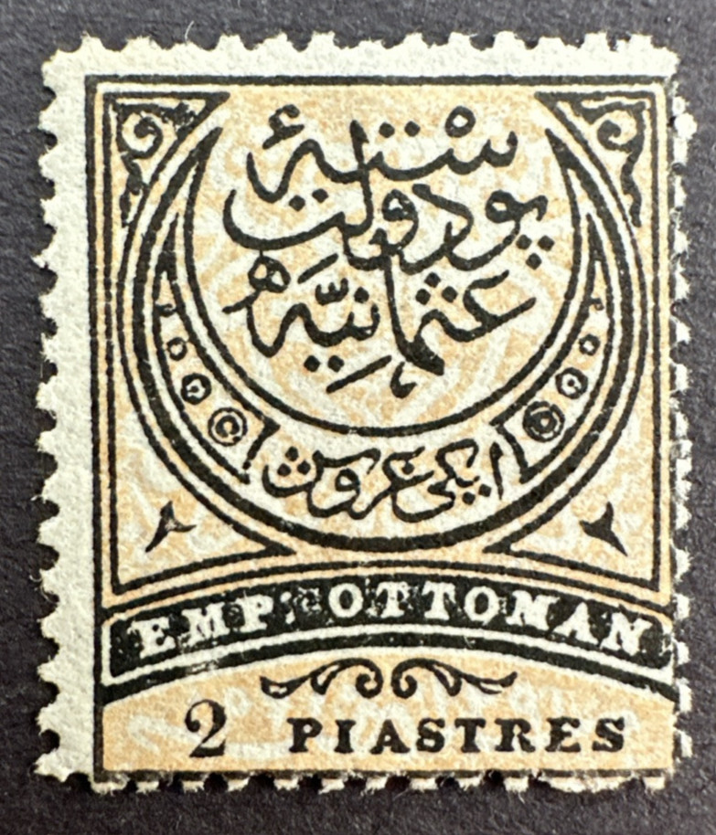 Turkey 1876 Sc# 56 Mint Stamp MNG 2pi