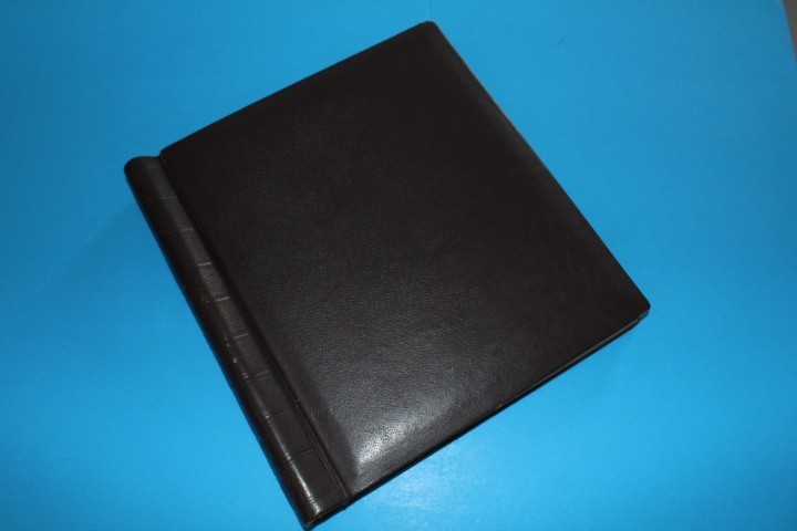 Germany Locals 1945 Hingeless Borek Specialty Springback Album BlueLakeStamps