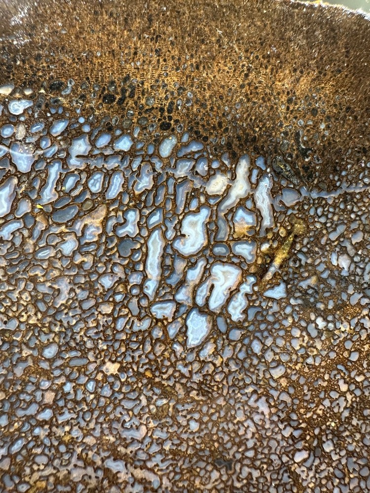 Dinosaur bone rough **hxtled slab.