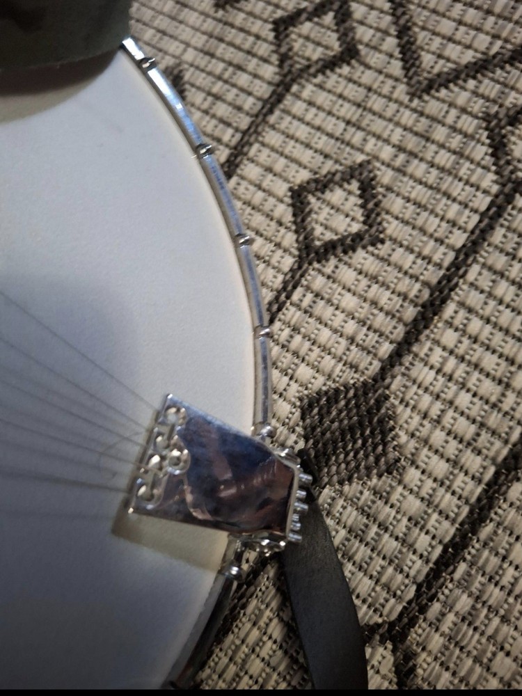 Fender FB55 5 String Banjo