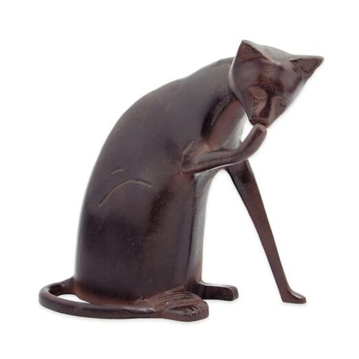 Coy Cat