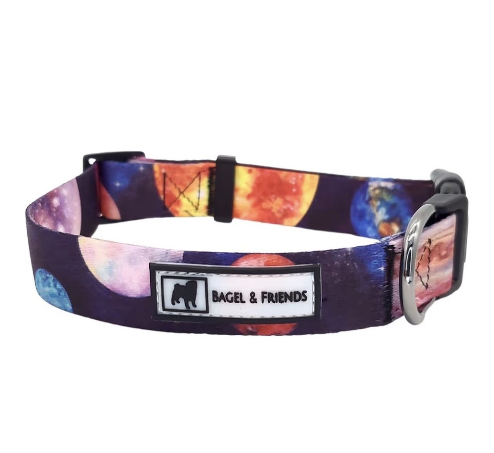 Bagel & Friend Matching Dog Leash/Collar- Observatory- Medium