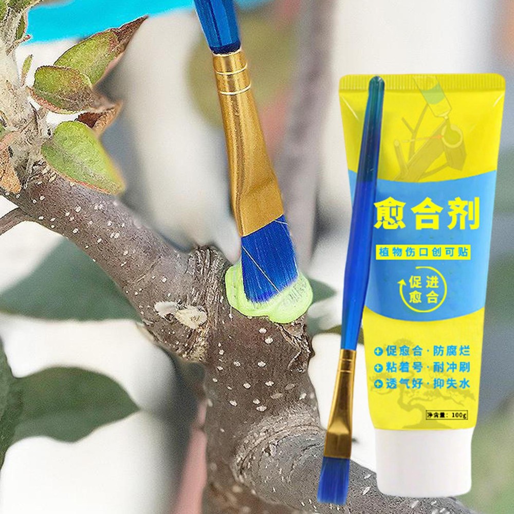 100g Tree Wound Bonsai Cut Paste Smear Agent Pruning Compound Sealer With Brush