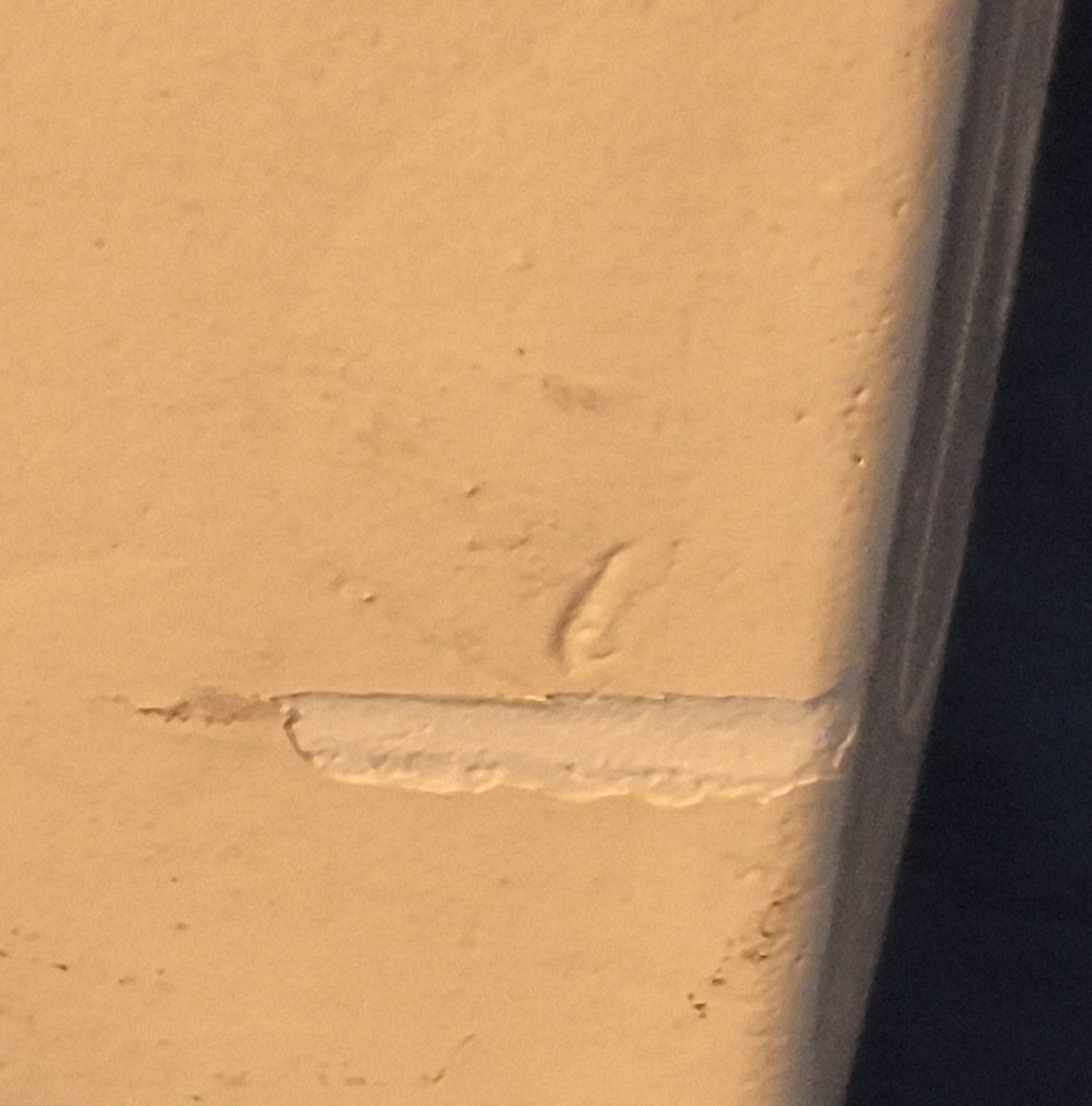 Vintage 11" Phrenology Bust / Head Statue, Chalkware (?), Scientific Psychology