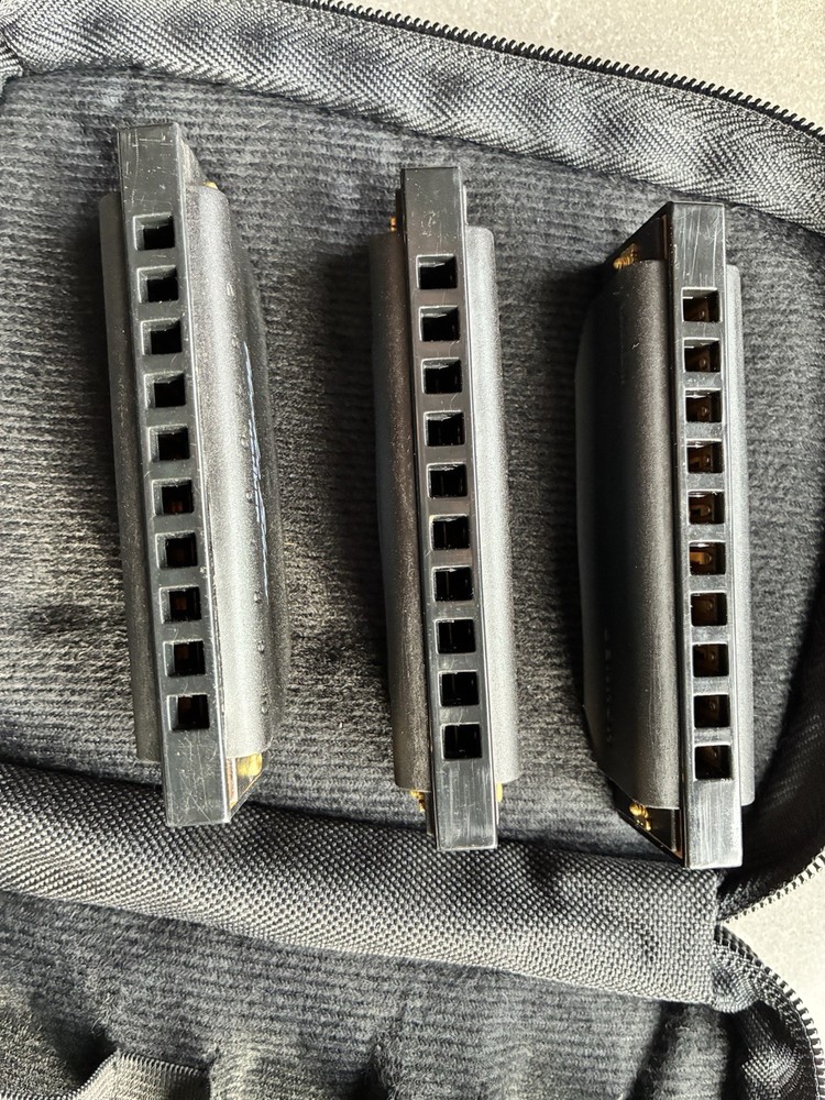 Hohner Hoodoo Blues Harmonica 3-Pack with Case C,D,G