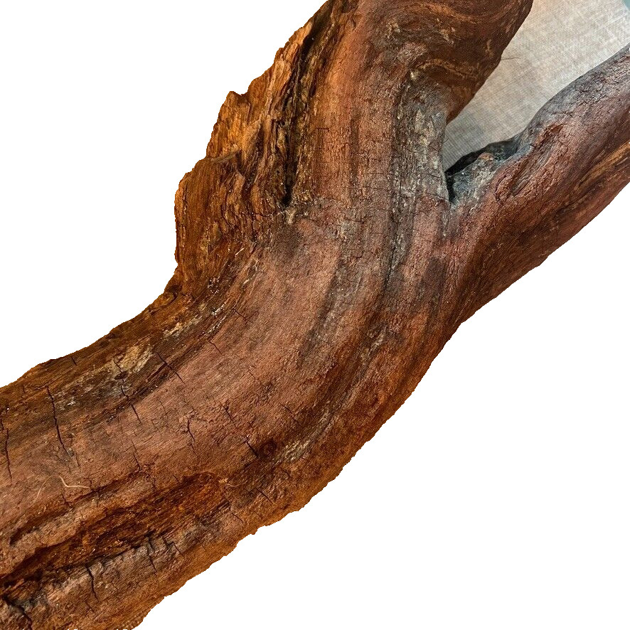 18" x 5" Redwood Driftwood Organic Craft Aquarium Rustic Boho Natural Wood