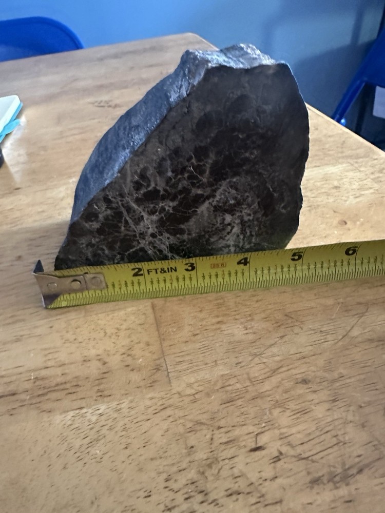 Petrified Wood Slab