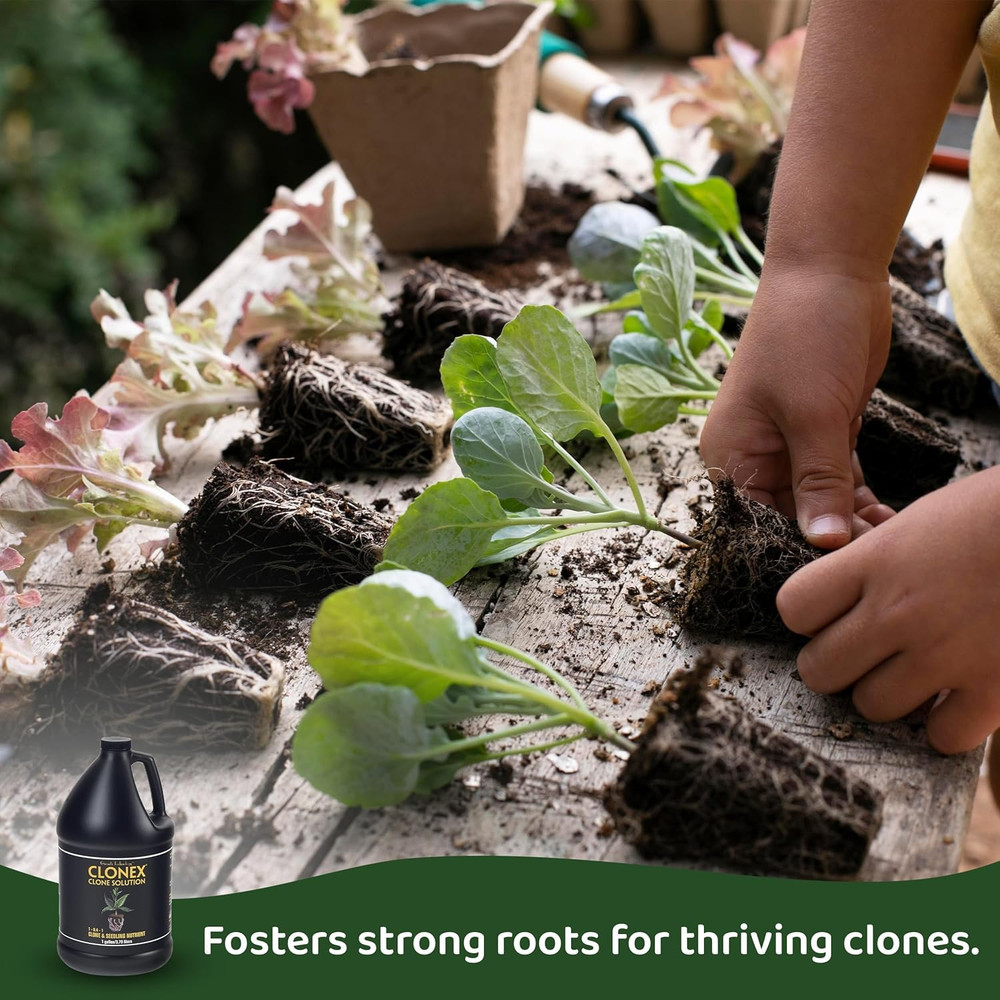 Clone Solution, Professional-Grade Nutrient Formula for Seedlings, Cuttings, and