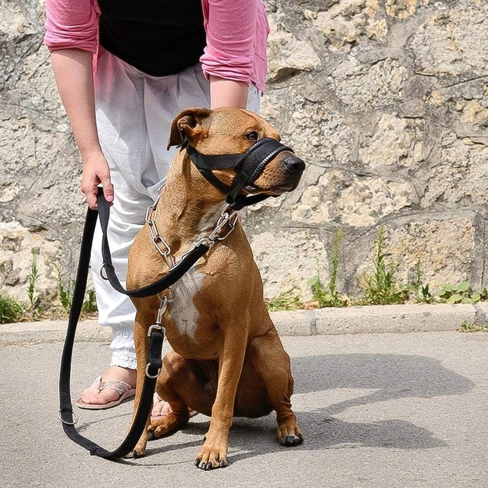 Nylon Dog Muzzle for Small,Medium,Large Dogs Prevent from Large, Black