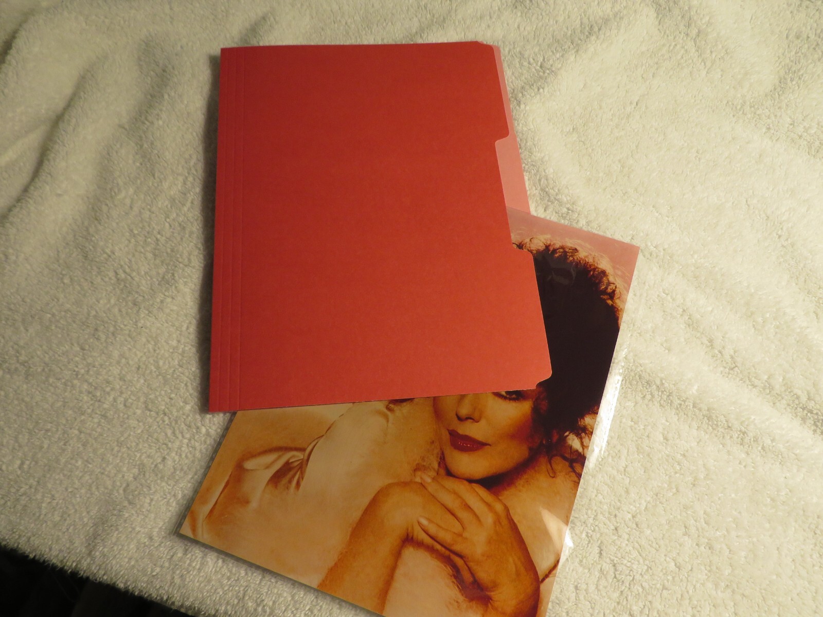 Poison's Band Members Lounging