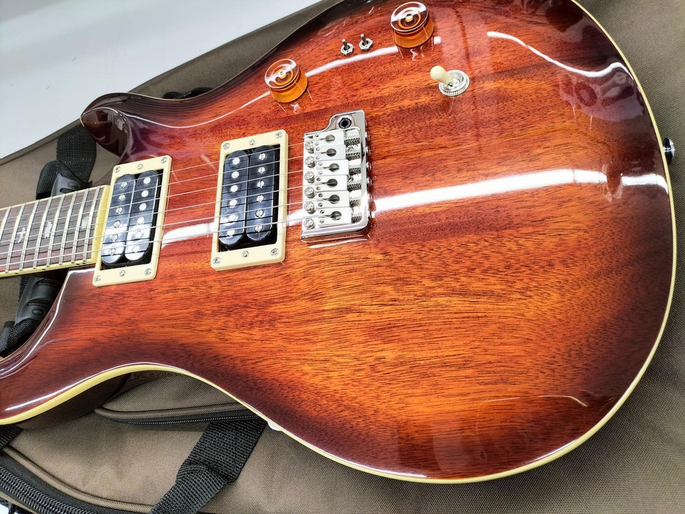 PRS SE STANDARD Electric Guitar-01