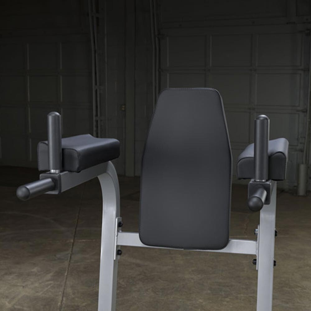 Body Solid Vertical Knee Raise Dip Ab Station GVKR60