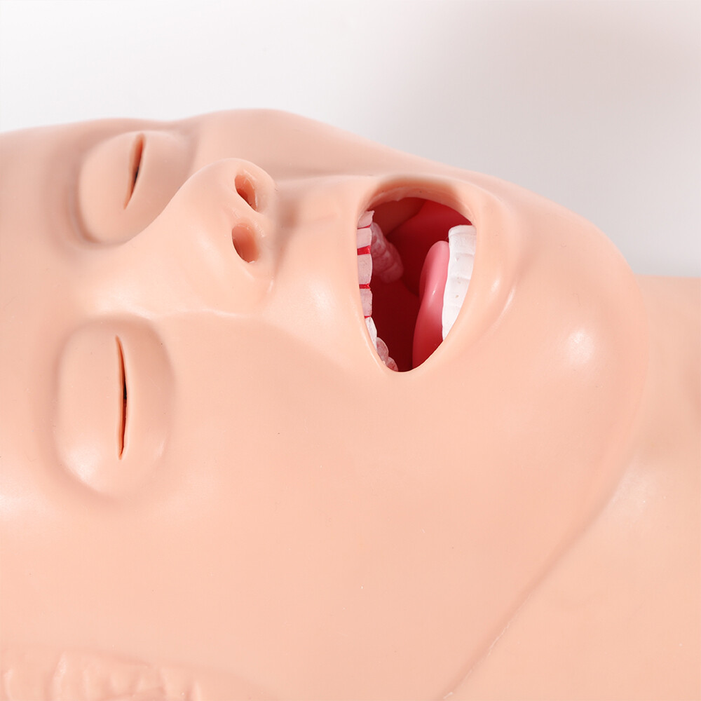 Intubation Manikin Study Teaching Simulator Airway Management Trainer Tool Model