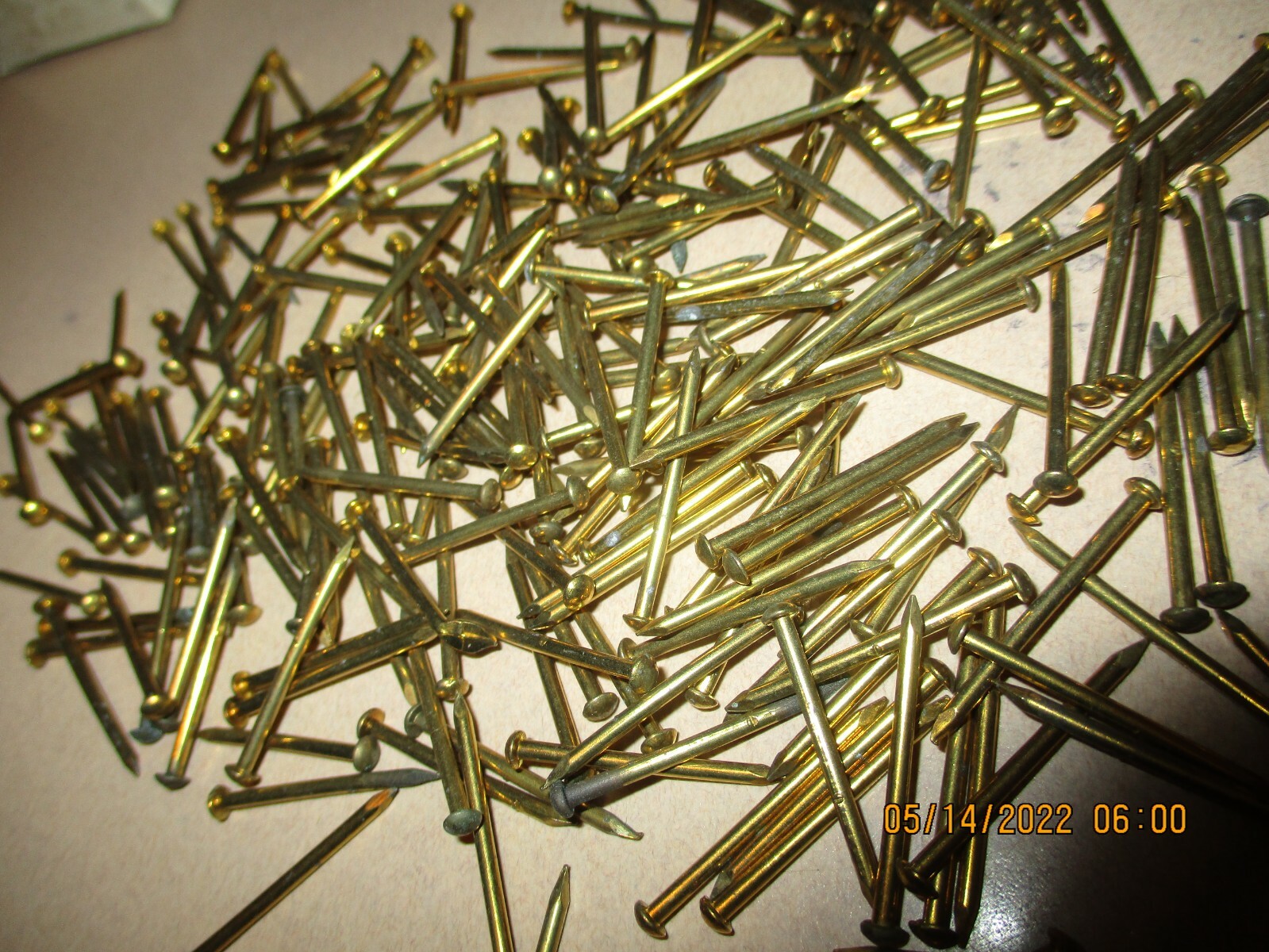 100 - VINTAGE, 1" X #16 SOLID BRASS BRAD, ROUND DOME HEAD ESCUTCHEON PINS