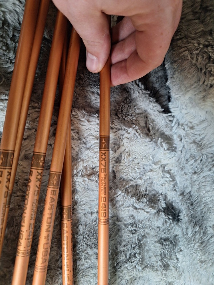 Bear Flare II Compound Bow Camo