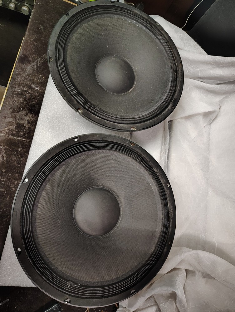 EAP-15D speaker woofers, one pair