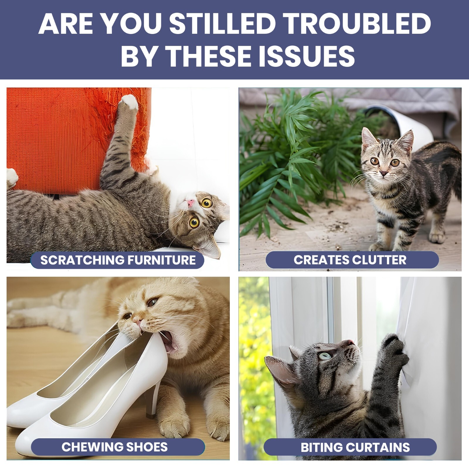 Yegbong Cat Deterrent/Repellent Spray 50ml– Stop Scratching, Biting, Marking