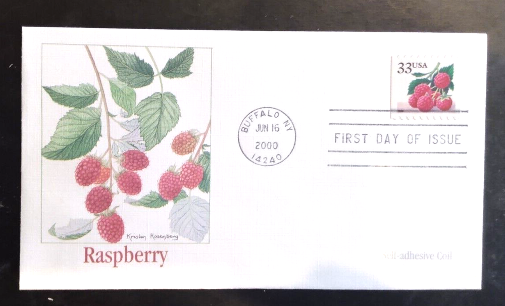 RASPBERRY FRUIT 2000 COIL FLEETWOOD CACHET FDC VF UNADDR