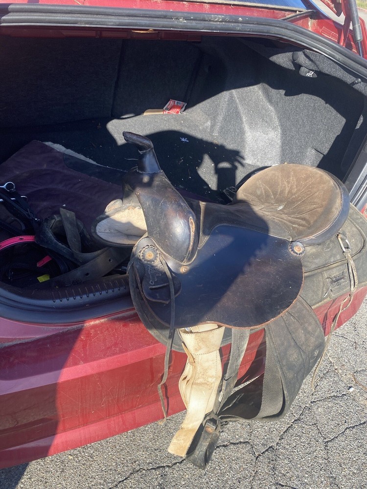Saddle And Pad